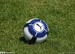 网易运动资,乐鱼体育,乐鱼体育官方,乐鱼体育官方,乐鱼体育在线官网,乐鱼体育线上,乐鱼体育APP