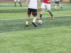 美元兑乌兹,别克斯坦索,姆汇率,乐鱼体育官方,乐鱼体育在线官网,乐鱼体育线上,乐鱼体育APP