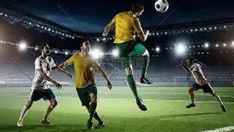 体育资讯 2025年11月20日全记录