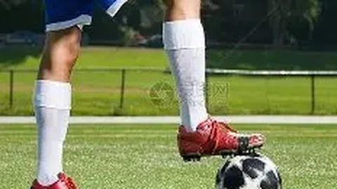 乐鱼体育 资讯 141726 nyr