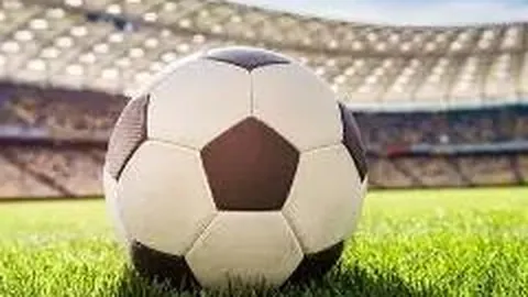 乐鱼体育 产品 111955 2pq