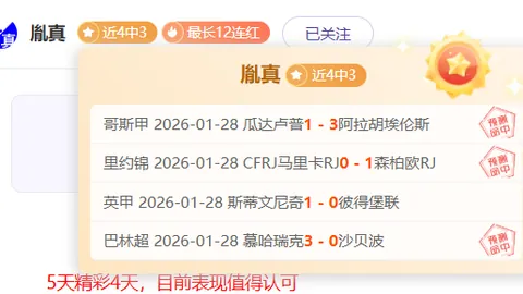 2025年1月11日赫曼施塔特与费尔干纳夫兹友谊赛：回顾往昔交锋、战绩分析及赛事预测