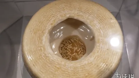 激情对决！巴塞罗那迎战皇家奥维耶多，亚马尔、拉菲尼亚领衔出战，坎塞洛强势回归！